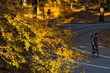 © PATMALUPHOTO - Cyclist riding along a curved park road framed by golden autumn trees, embodying a healthy lifestyle and outdoor travel in Central Park, Manhattan, New York City.