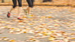 © PATMALUPHOTO - Runners legs jogging on a path covered in autumn leaves to symbolize an active outdoor fitness lifestyle in Central Park, New York City.