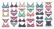 © Gilangaa - Variety of womens lingerie bras.