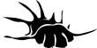 © kihun - Marine Life and Sea Creatures Silhouette Collection