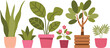 © Mistha - Cute Indoor Potted Plant Collection Illustration with Green Houseplants and Floral Pots for Home Decor, Gardening, and Botanical Design Projects