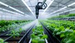 © GreenLand - Automated irrigation system waters rows of young green plants in an indoor agricultural facility with a robotic arm.