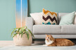© Pixel-Shot - Cute fluffy cat lying on carpet in living room