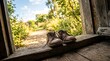 © Agus - Worn leather boots on a rustic wooden doorstep facing a sunny garden