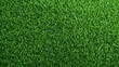 © DreamGrid - Vibrant green grass texture, perfect for backgrounds and natural design elements