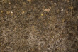© tetxu - Brown concrete wall, grunge stone texture, rock surface background, wide panoramic banner