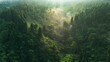 © AmazingAerialAgency - Aerial view of dense tropical forest with mist rising from a valley during golden hour light Sukabumi, West Java, Indonesia.