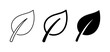 © Aisha - Leaf Icons: Outline, Line Art, and Solid Fill Vector Graphics for Nature and Ecology Themes