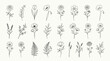 © Astagfir - Black and white floral line drawings.