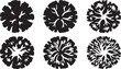 © Ajoy - Black and white vector floral patterns with abstract flower designs for graphic design and decoration purposes illustration