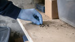 © Preeyanuch - Gloved hand rodent droppings hantavirus dust dirty surface inspection health risk prevention
