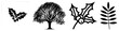 © Rysak - Diverse set of botanical silhouettes featuring prickly holly sprigs, a leafy branch, and a oak. These nature elements, including forest giants and winter greenery, offer clean.