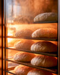 © Yurii Semonov - Fresh bread loaves baking in commercial oven for bakery production