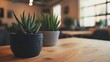 © sangNaga. - A modern workspace featuring a wooden desk, potted succulents, and soft natural lighting.