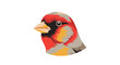 © Wong - Colorful bird head illustration vector graphic, vibrant avian art