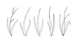 © HORIZON PIXELS - Minimalist black and white vector line art illustration featuring five distinct sets of hand-drawn grass blades and botanical leaf elements isolated on a plain white background.