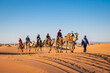 © Cavan Images - group of friends enjoying a camel ride in the Sahara