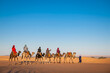 © Cavan Images - group of friends enjoying a camel ride in the Sahara