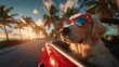 © Lush Diaries - Golden Retriever Puppy Enjoying a Sunset Drive