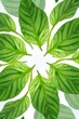 © Leonardo - Diseño abstracto de hojas verdes frescas dispuestas en círculo simétrico, que simboliza la renovación y el florecimiento estacional