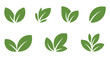 © Munna2 - Leaf sprout icon with green leaves and plant symbols representing sustainability, vegan products, fresh herbs, organic agriculture, and natural wellness branding