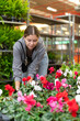 © JackF - Female shopper selects cyclamen flowers at a flower shop