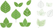 © MdSaiful - Set of diverse green leaves icons, including filled and outline styles for sustainable eco-friendly branding, image_4ec518.png