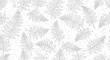© Setya - Delicate fern leaves pattern on white background botanical illustration