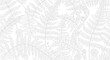 © Setya - Delicate fern pattern elegant botanical design on white background