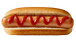 © Maelle - Hot dog with ketchup in bun