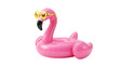 © digital pic - Inflatable pink flamingo pool float with sunglasses on white isolated on transparent background