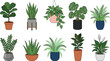 © Mdjony - Potted houseplant vector icon set featuring popular indoor green plants monstera snake plant fern aloe vera and peace lily isolated on white background.