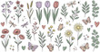 © MdRezaul - Cute Pastel Spring Wildflowers and Butterflies Sticker Set with Tulip Daisy Poppy Dragonfly and Heart Elements Vector Collection