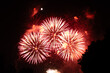 © Mila - fireworks in the night sky