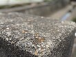 © Rockcat - close up of a stone