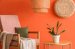 © Pixel-Shot - Armchair and houseplant on table near orange wall in room, closeup