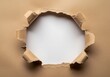 © abu naeem kazi - A ripped hole in a brown cardboard box