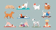 © Adnan - Flat vector dog collection, 11 cute puppy characters in various poses, funny cartoon dogs doing yoga and riding skateboard, pet animal set
