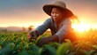 © Larisa AI - This image depicts a dedicated tea picker working diligently in a tea field during sunset, symbolizing labor, nature's beauty, and the connection to traditional farming practices.