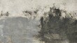 © Fauzi - Dirty and moldy cement wall background. Mossy white cement wall. The background of the mossy white cement wall was taken from a close distance.