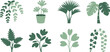 © Kamrun82 - Various green houseplant silhouettes, including potted plants and trailing vines, for interior decor elements.