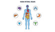 © Mahin - Detailed human internal organs diagram featuring a central body silhouette and highlighted anatomical organ diagrams.