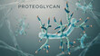 © Z_AKTER - Proteoglycan molecule structure with complex carbohydrate chains and protein core in scientific illustration