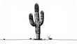 © Aliyan - Minimalist black‑and‑white barrel cactus silhouette, symbolizing botanical form, texture, and desert resilience.