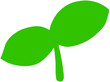 © 현지 고 - four leaf clover