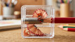 © Len_mik - Close up of a red pencil being sharpened in a transparent sharpener. Wooden shavings inside a clear plastic container on a desk. Back to school and creativity concept