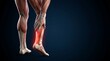 © Abimusa Gallery - Detailed anatomical illustration of a human leg with a highlighted achilles tendon area, representing pain or discomfort, for human muscular system education.