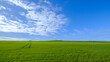 © Ed Bennett - Big blue sky above green field