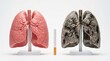 © Cherry - Medical Comparison of Healthy Pink Lungs and Smoker's Damaged Black Lungs with Cigarette on White Background for Healthcare Awareness Website Banner and Hero Header