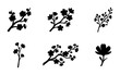 © Saedul - Floral Branch Silhouettes, Blossom Elements, Botanical Vector Icons